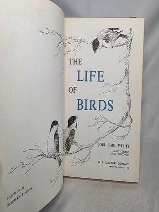 The Life of Birds