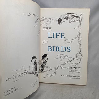 The Life of Birds